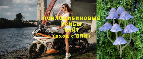 jwh Алзамай