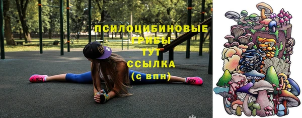 шишки Алексеевка