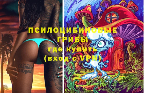 синтетический гашиш Алексин