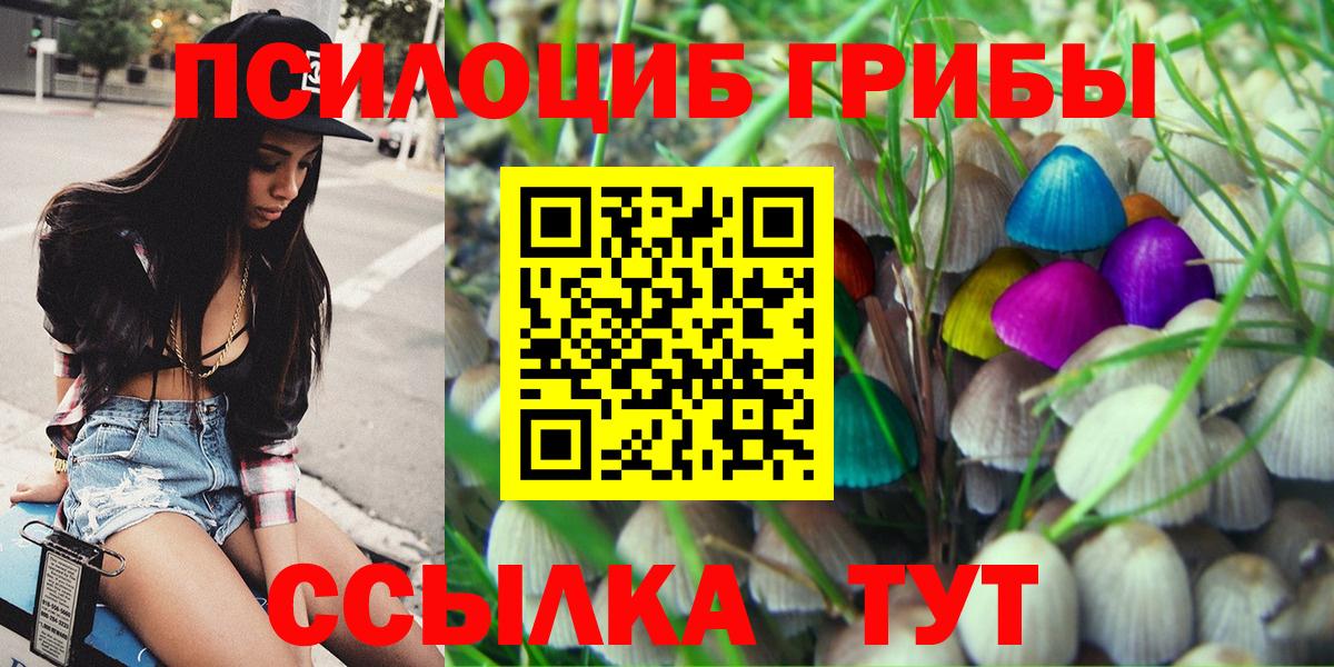 Псилоцибиновые грибы мицелий Буйнакск