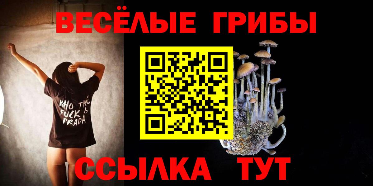 Буйнакск  Галлюциногенные грибы Psilocybe  Вход с VPN 