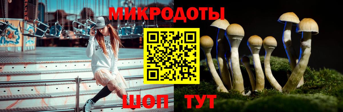 Галлюциногенные грибы прущие грибы Буйнакск