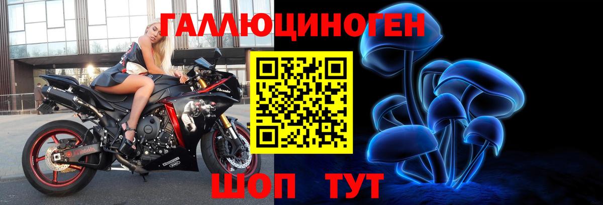 Псилоцибиновые грибы Psilocybe  Псилоцибиновые грибы мухоморы  Буйнакск 